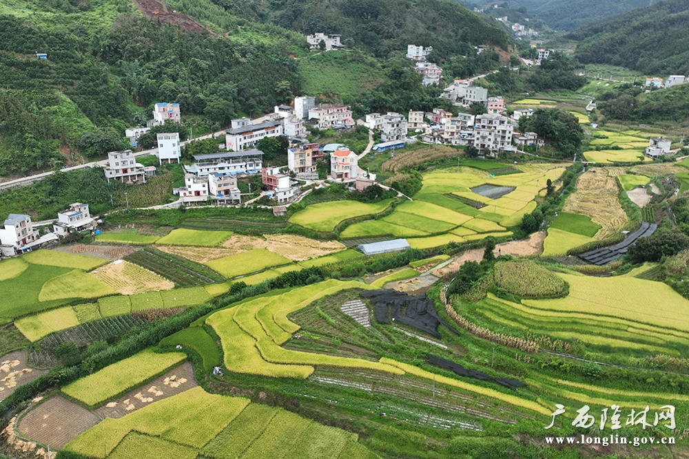 十大网赌平台推荐