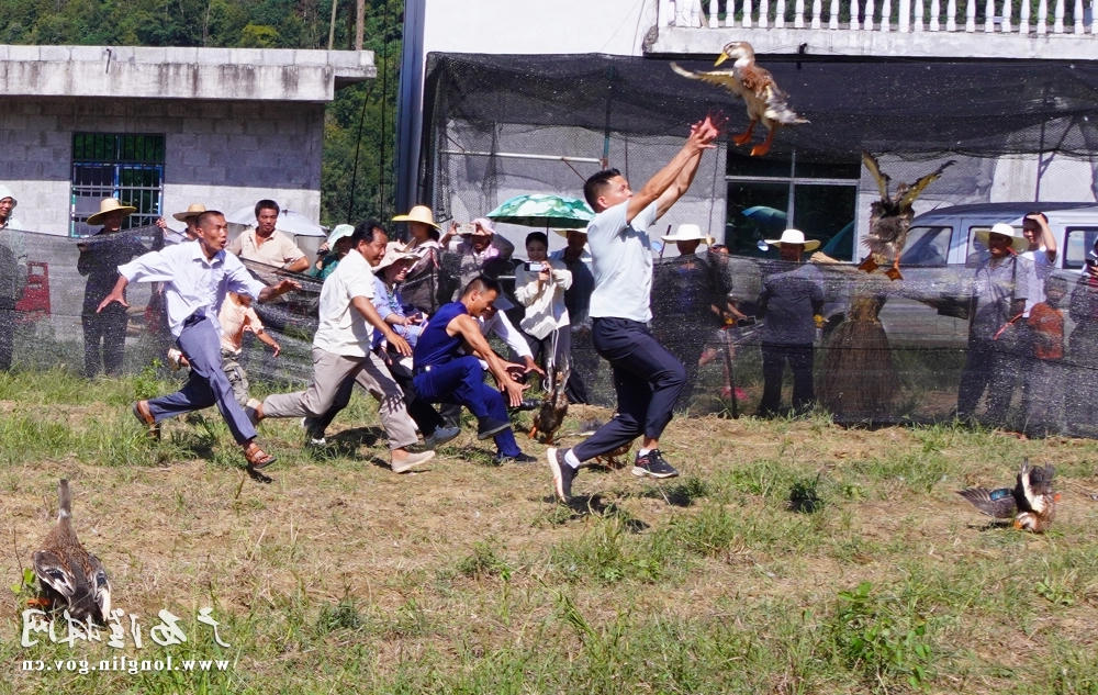 十大网赌平台推荐