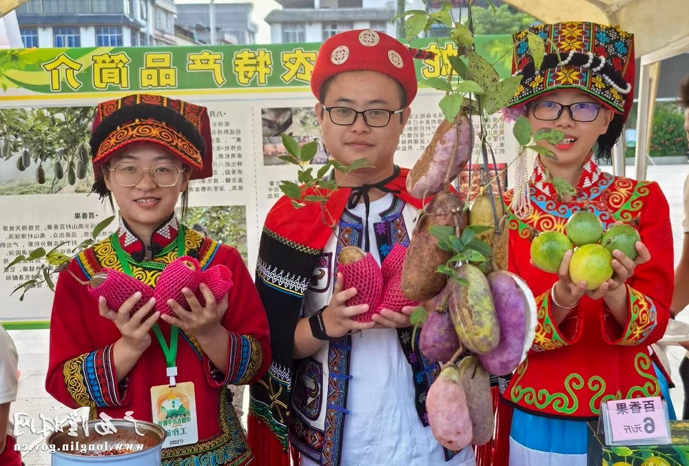 十大网赌平台推荐