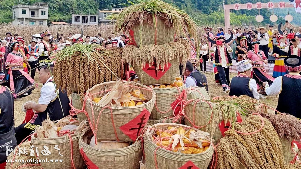 十大网赌平台推荐
