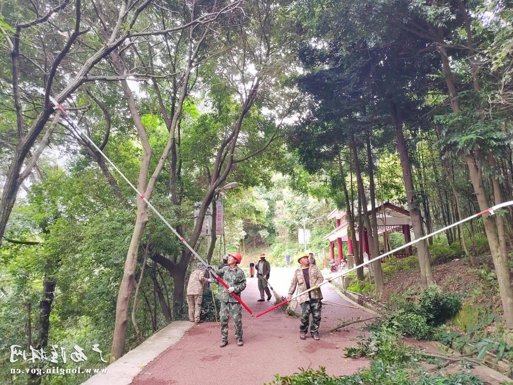 图片1 十大网赌平台推荐