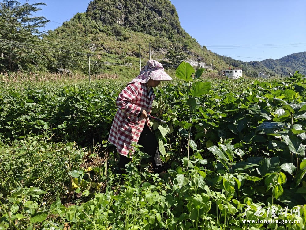 十大网赌平台推荐
