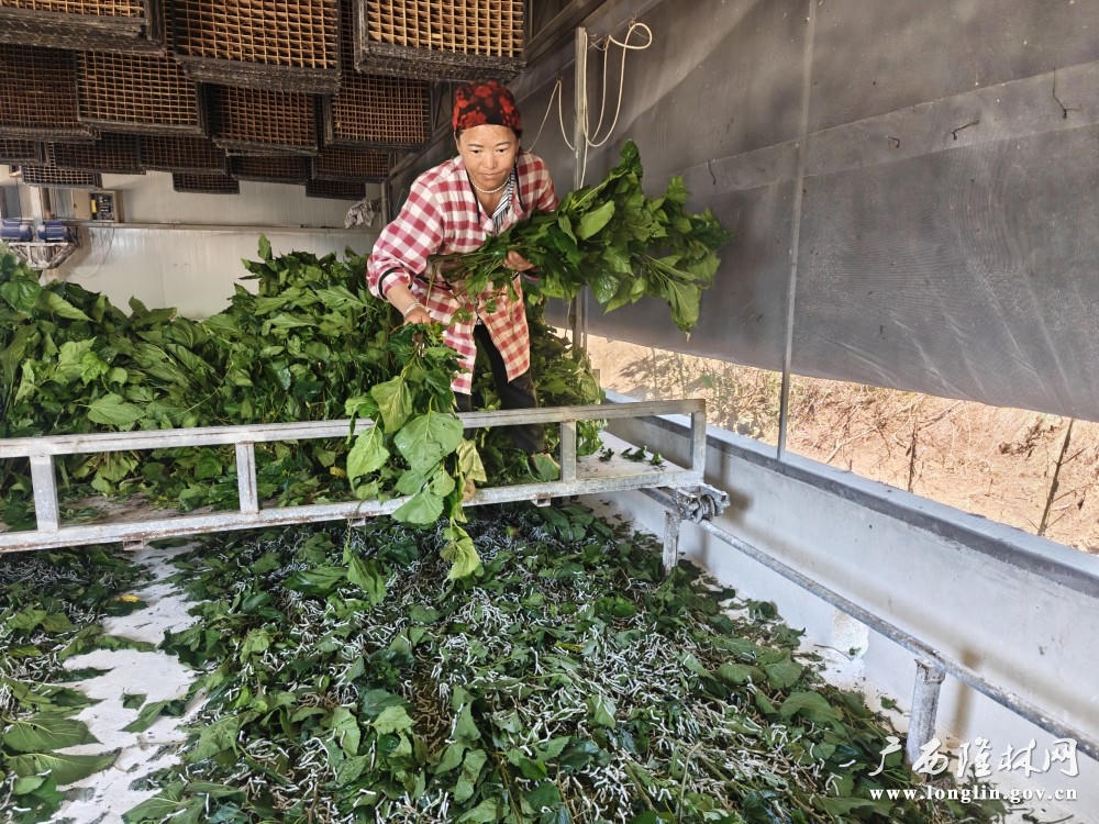 十大网赌平台推荐
