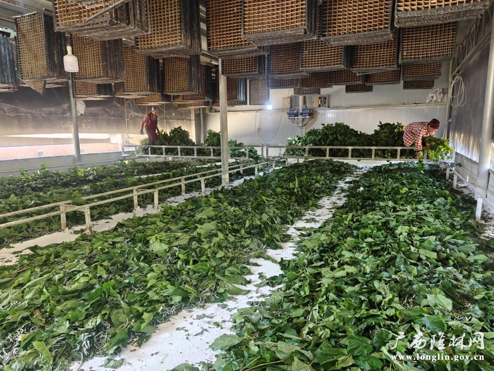 十大网赌平台推荐