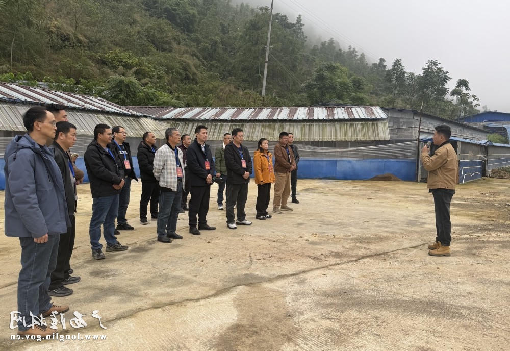 十大网赌平台推荐