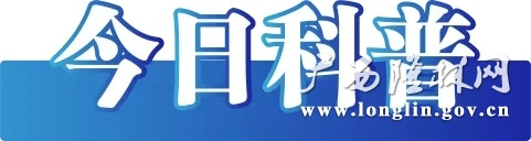 今日科普