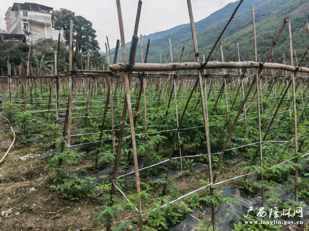 十大网赌平台推荐