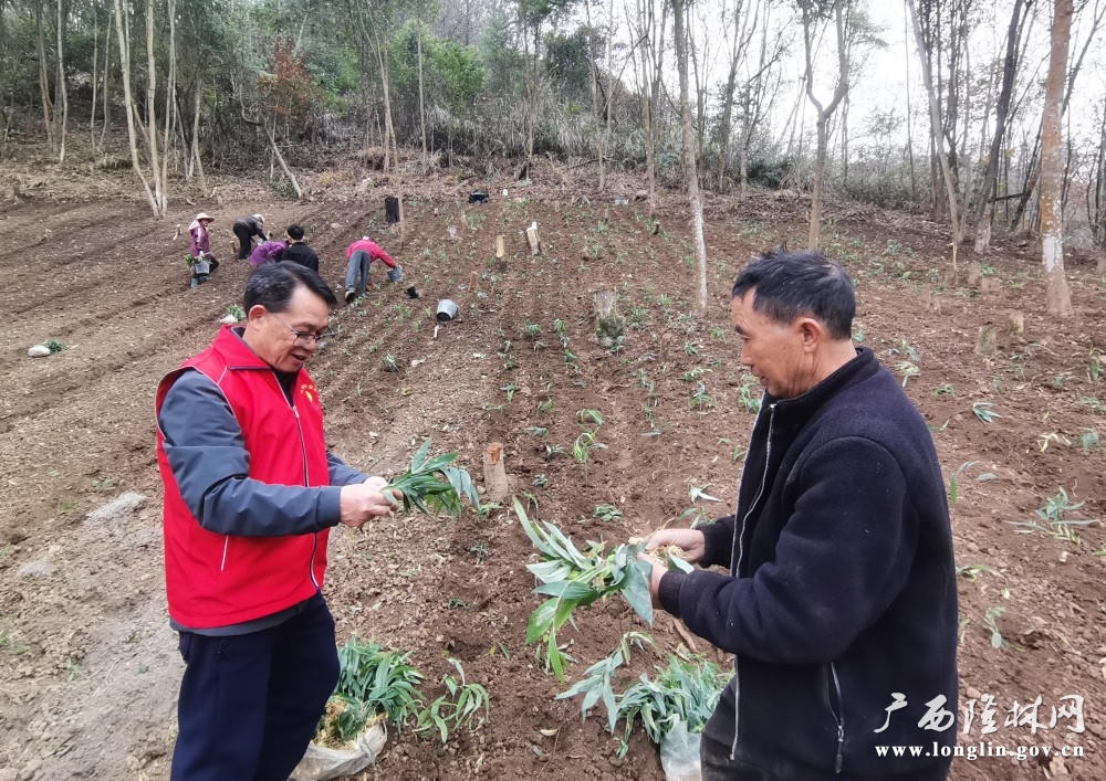 十大网赌平台推荐