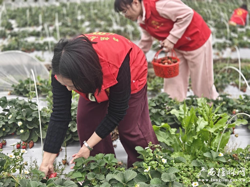 十大网赌平台推荐