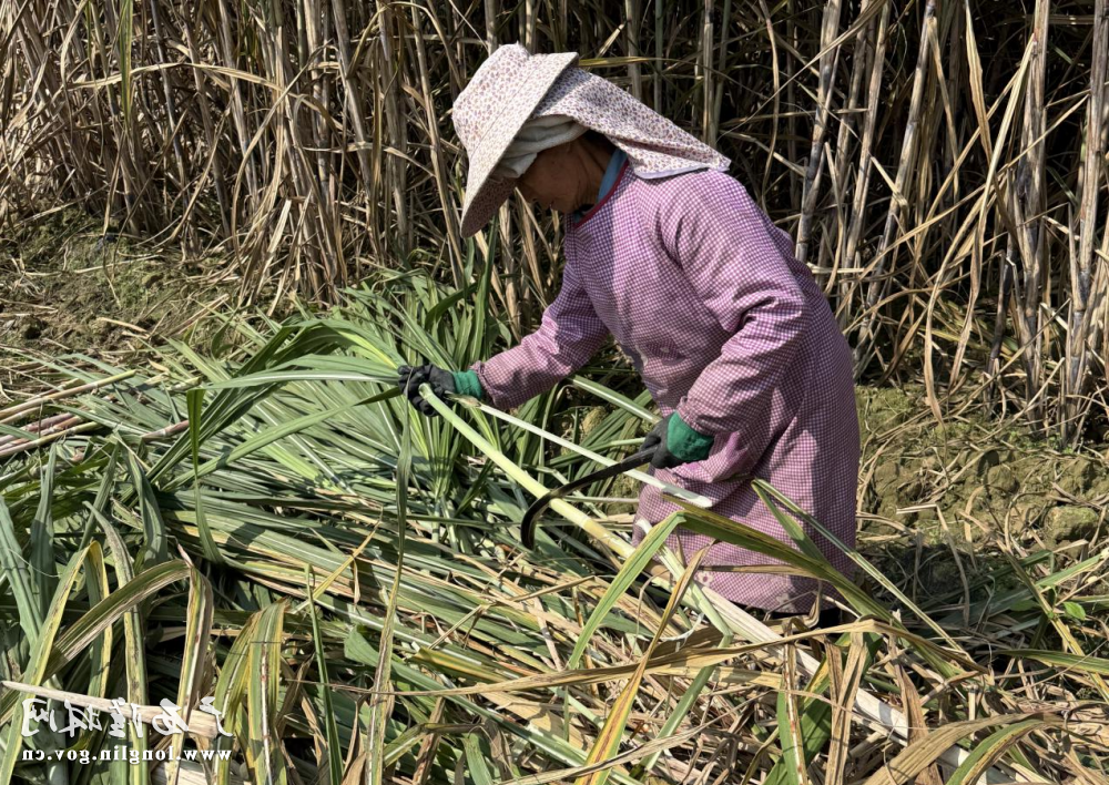 十大网赌平台推荐