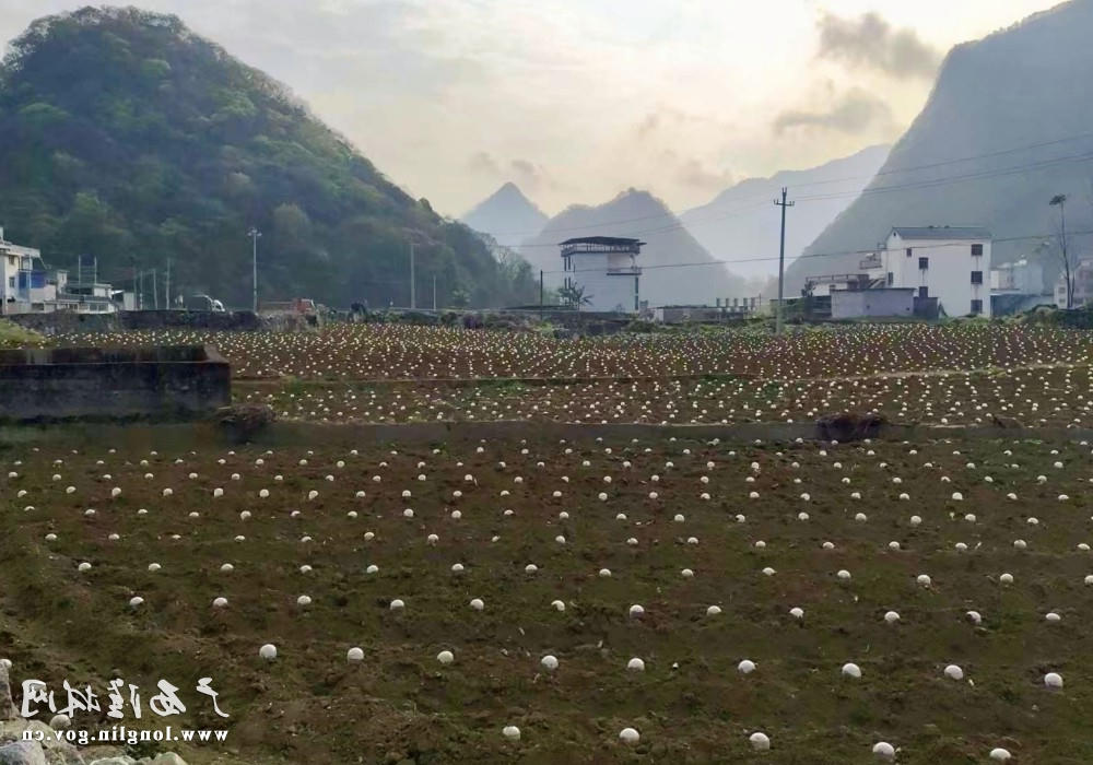 十大网赌平台推荐