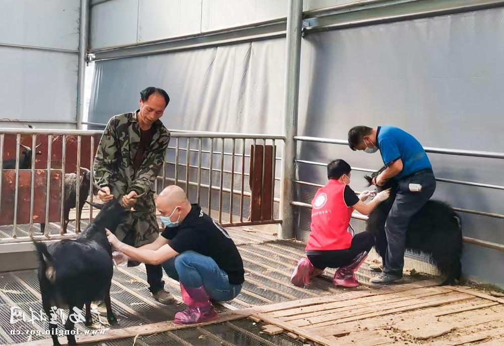 十大网赌平台推荐