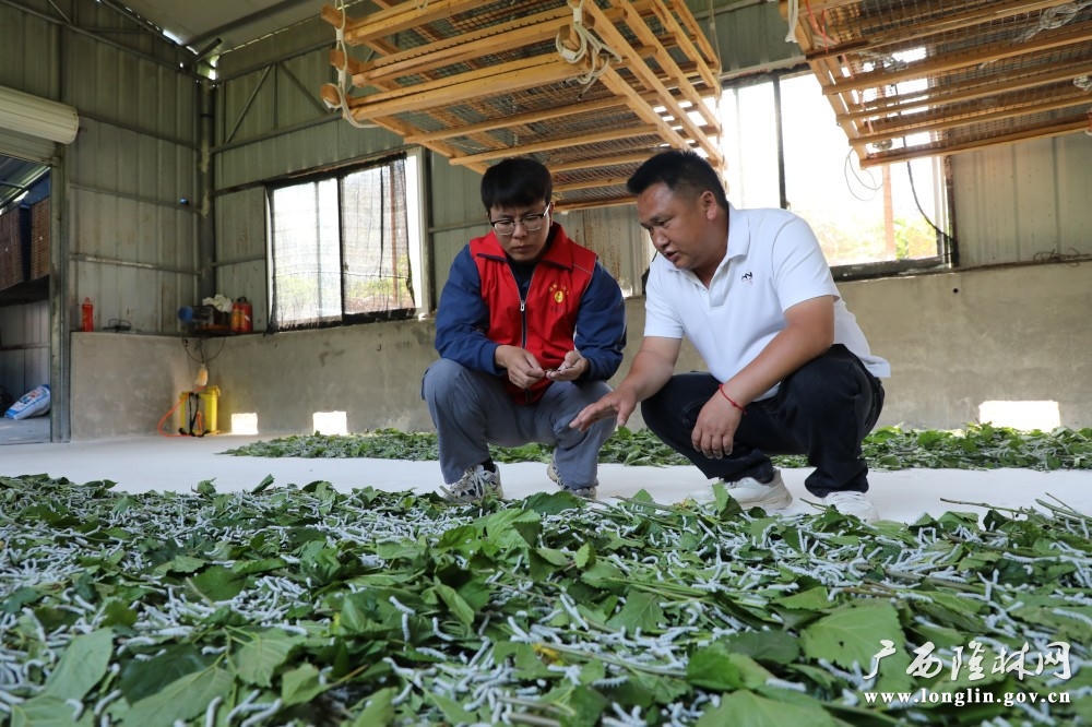 十大网赌平台推荐