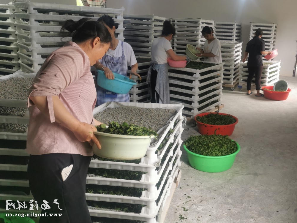 十大网赌平台推荐