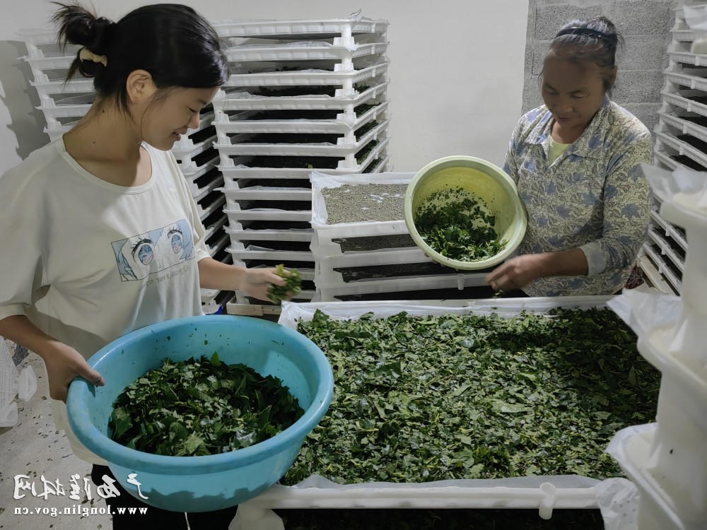 十大网赌平台推荐