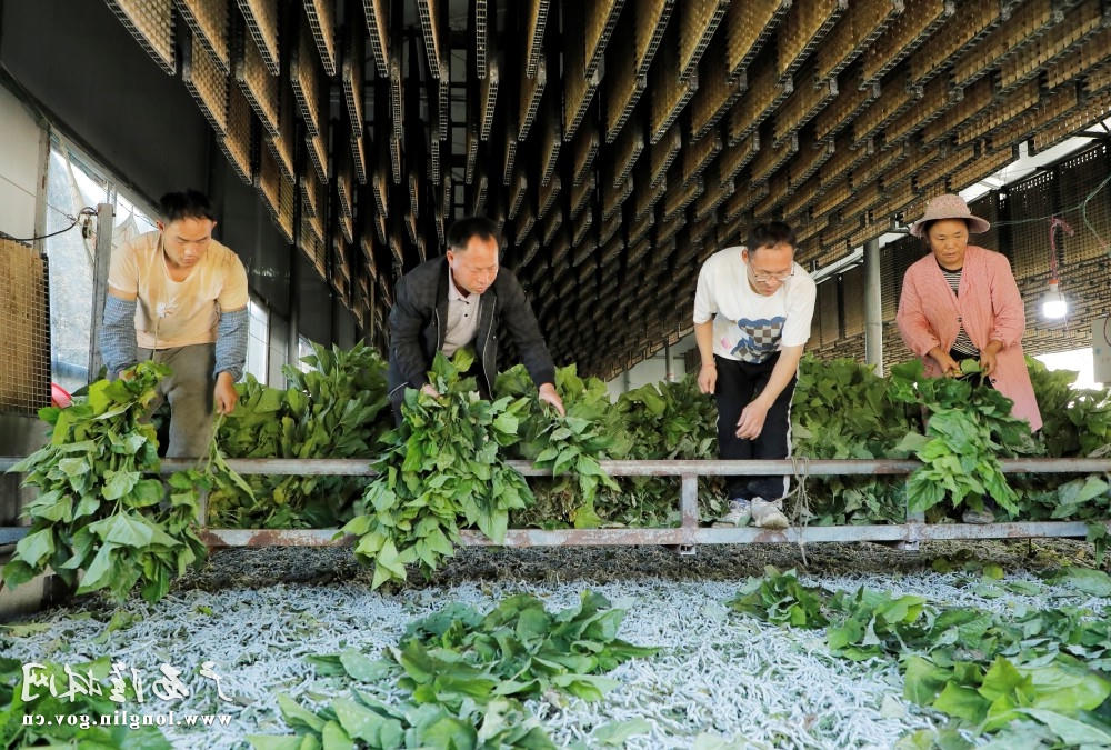十大网赌平台推荐