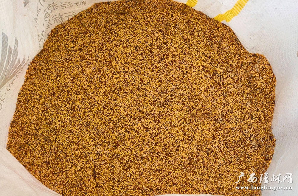 十大网赌平台推荐