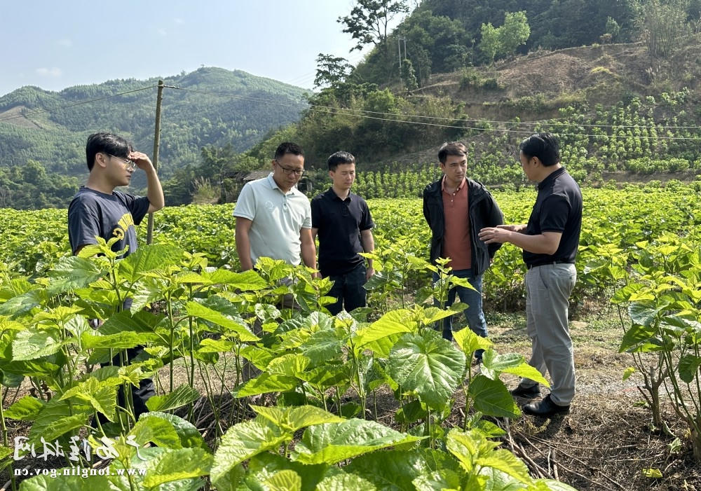 十大网赌平台推荐