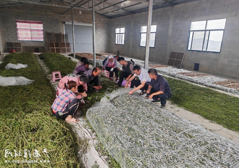十大网赌平台推荐