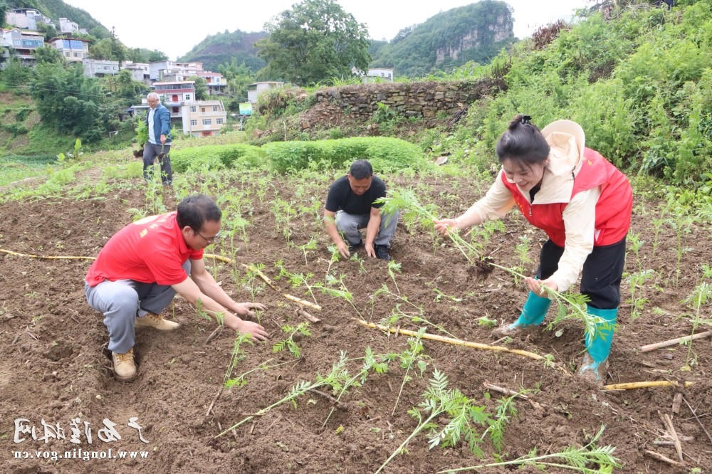 图片1 十大网赌平台推荐