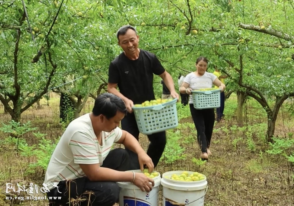 微信图片_20260618160345_278_178 十大网赌平台推荐