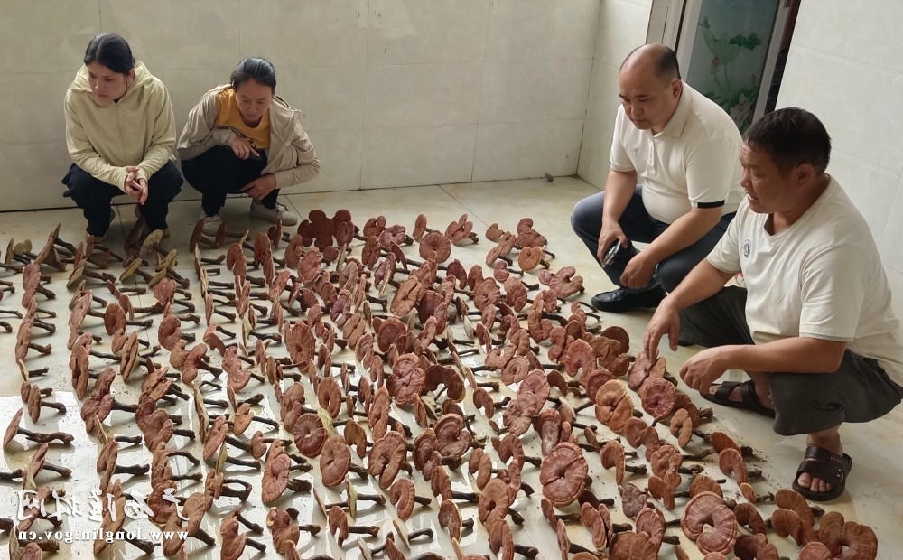 十大网赌平台推荐