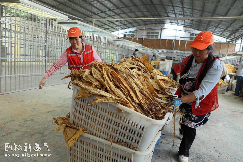 十大网赌平台推荐