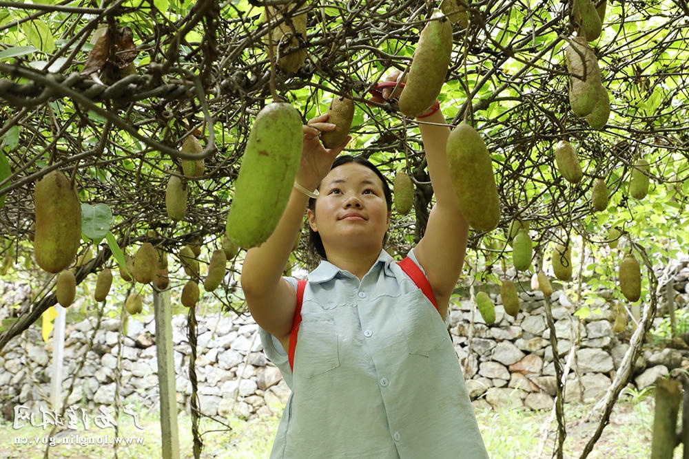 十大网赌平台推荐